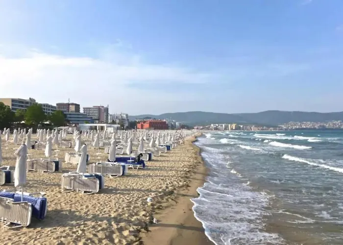 Paradiso 'в' 109 Large Cozy *